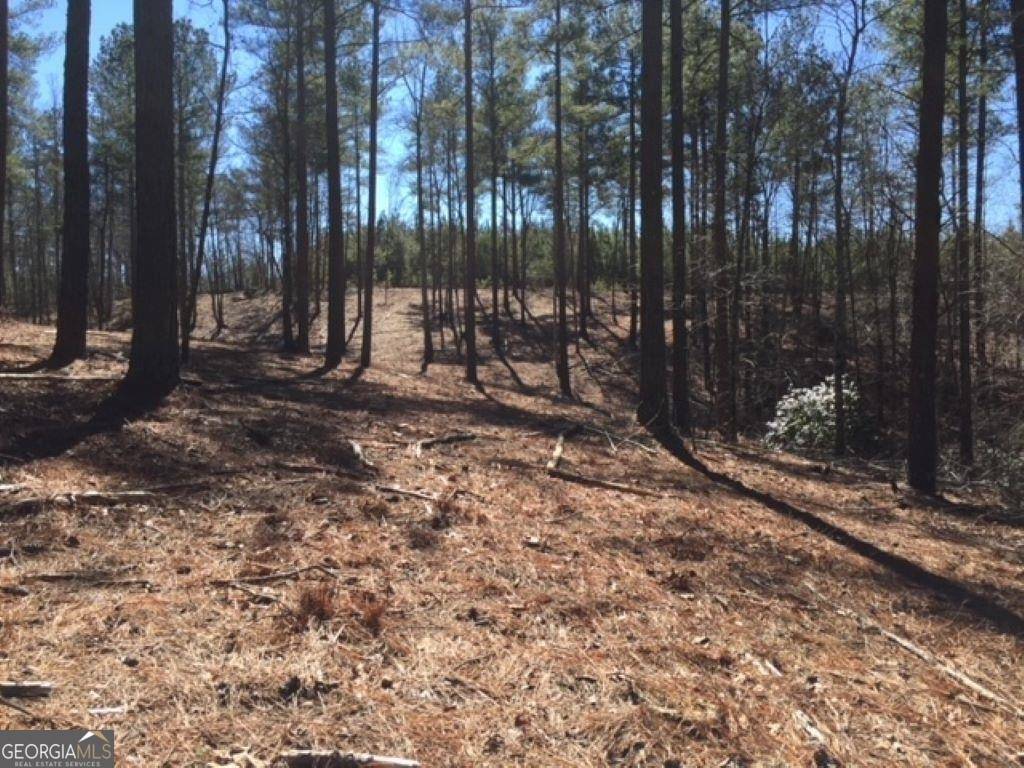 Dahlonega, GA 30533,0 River Highlands RD #LOT 5