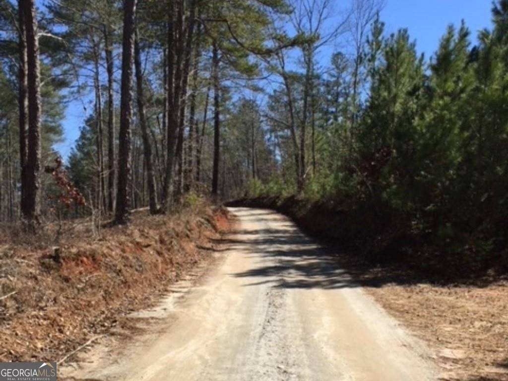 Dahlonega, GA 30533,0 River Highlands RD #LOT 5