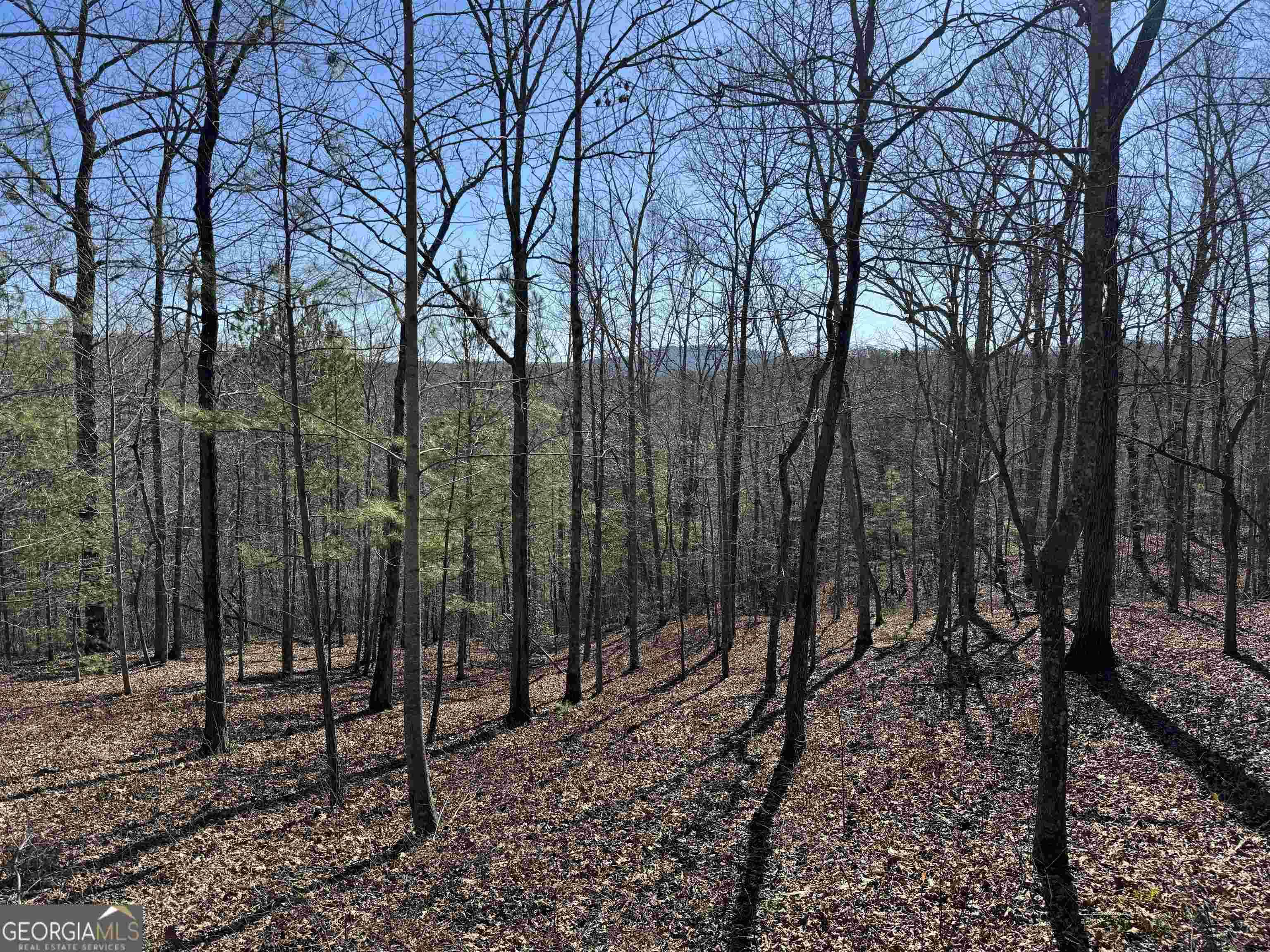 Ellijay, GA 30540,0 Harris Creek Drive Lot #29