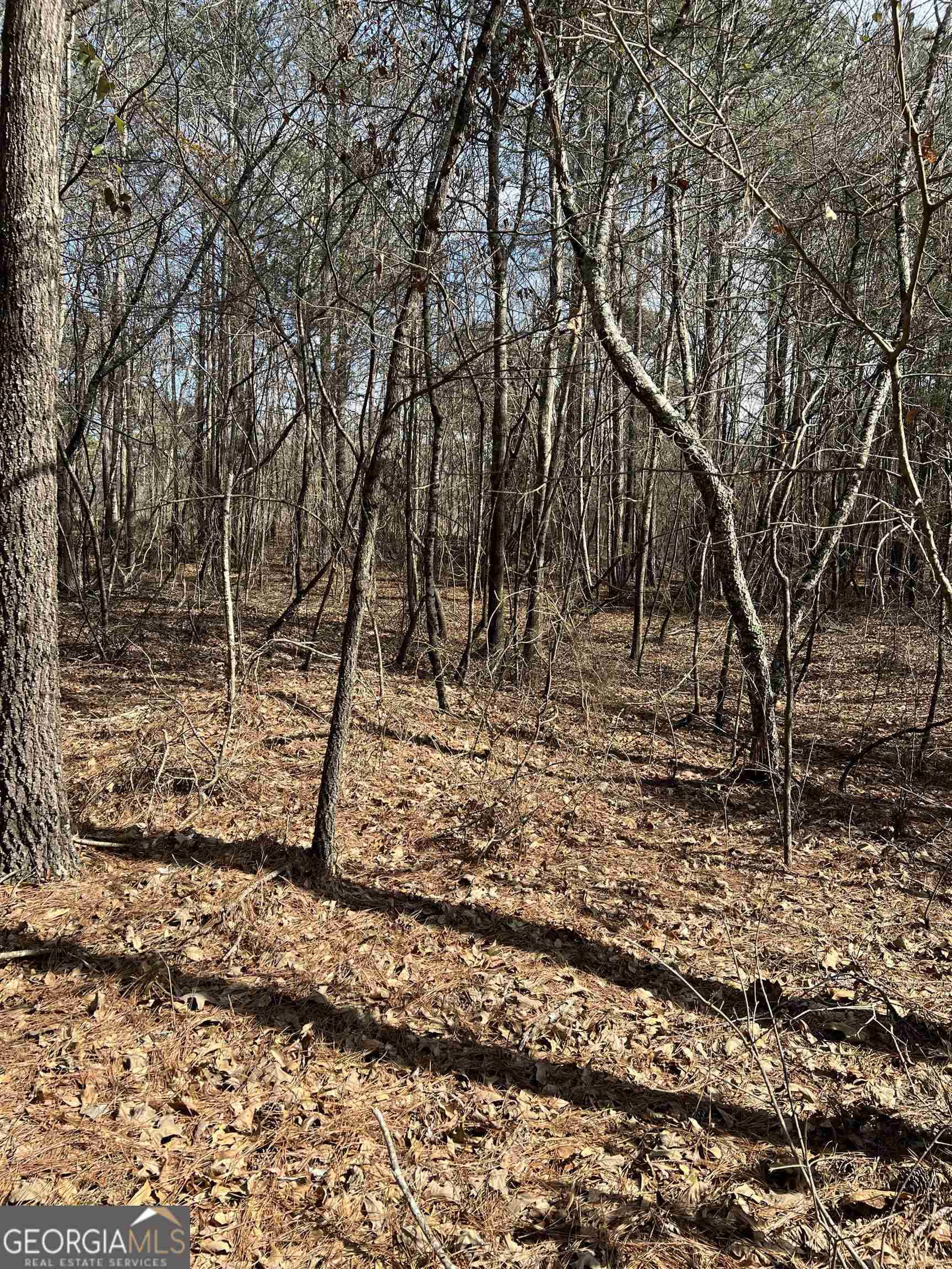 Loganville, GA 30052,LOT 2 Guthrie Cemetery