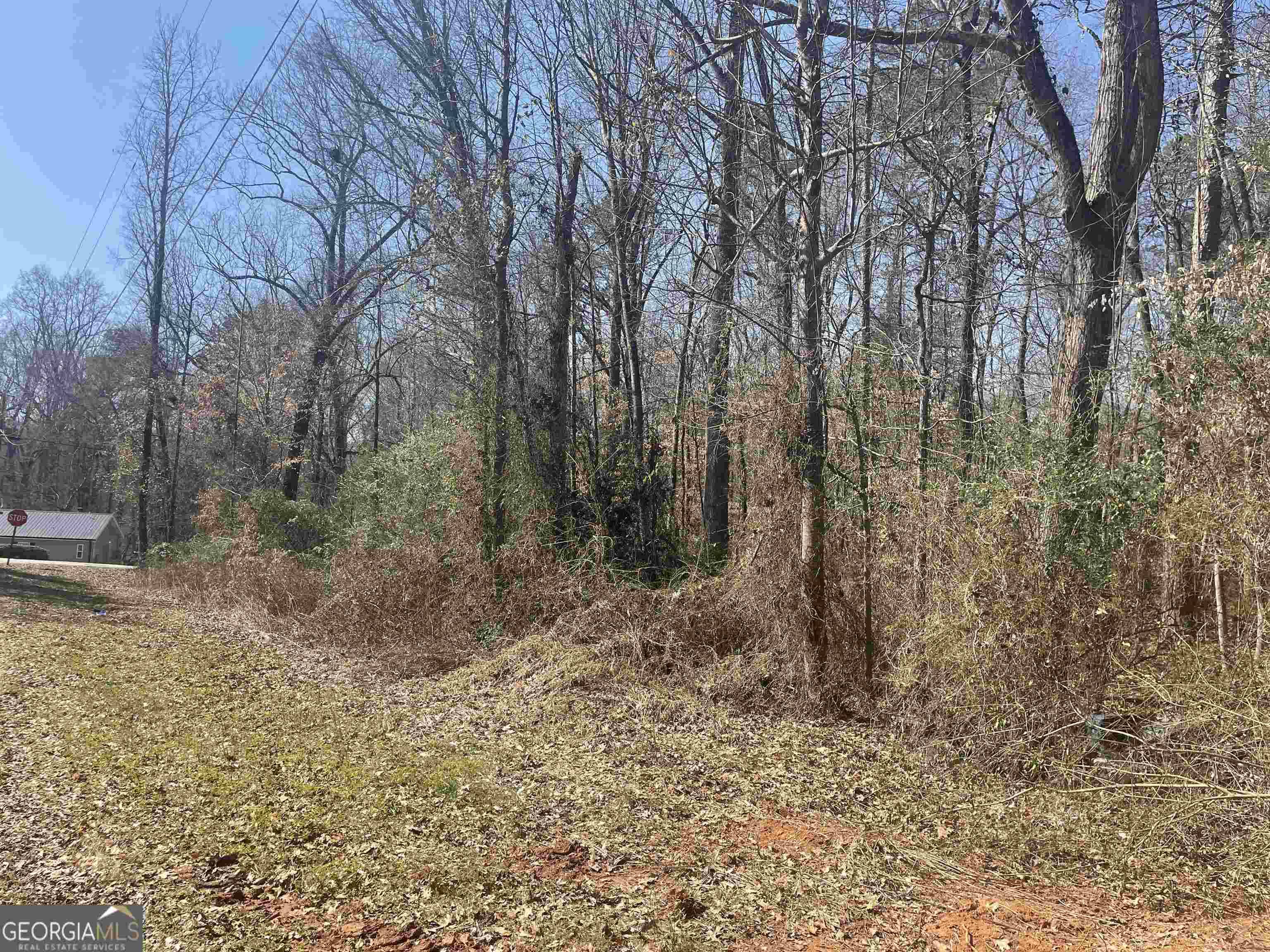 Lavonia, GA 30553,0 Fishermans CV