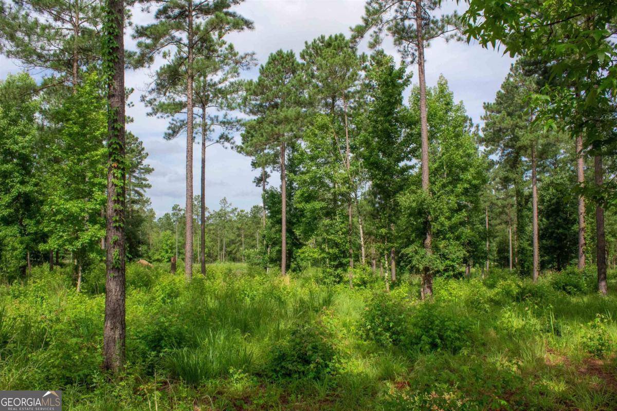 Eatonton, GA 31024,165 Overlook DR