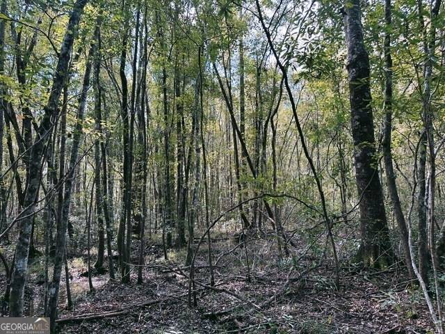 Mcrae-helena, GA 31055,0 Old Prison Camp RD