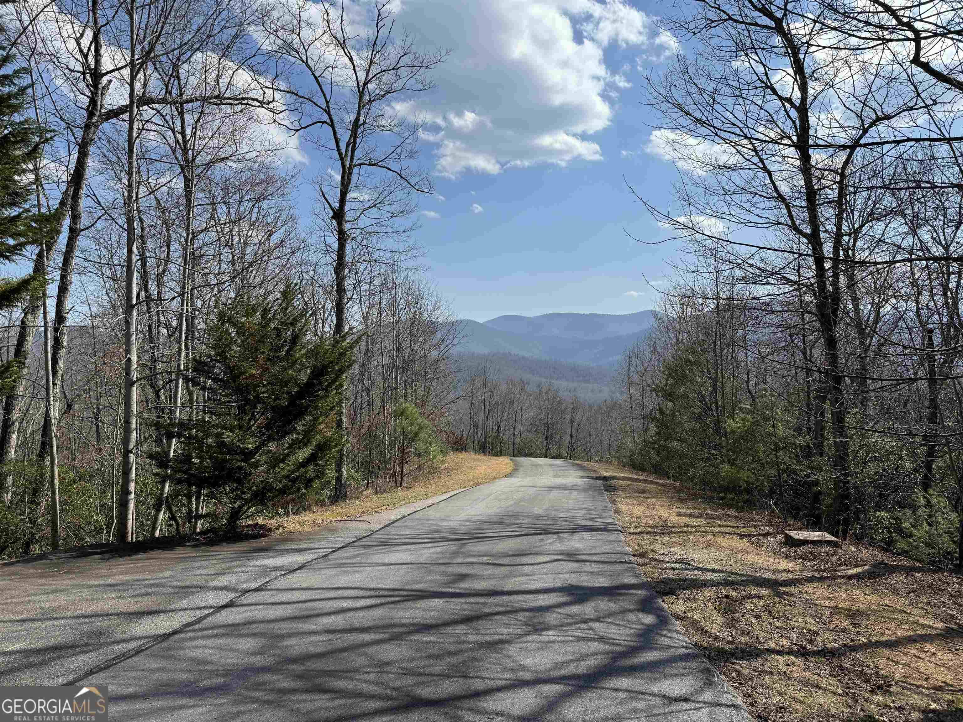 Hiawassee, GA 30546,LOT 21 Hightower Ridge Drive