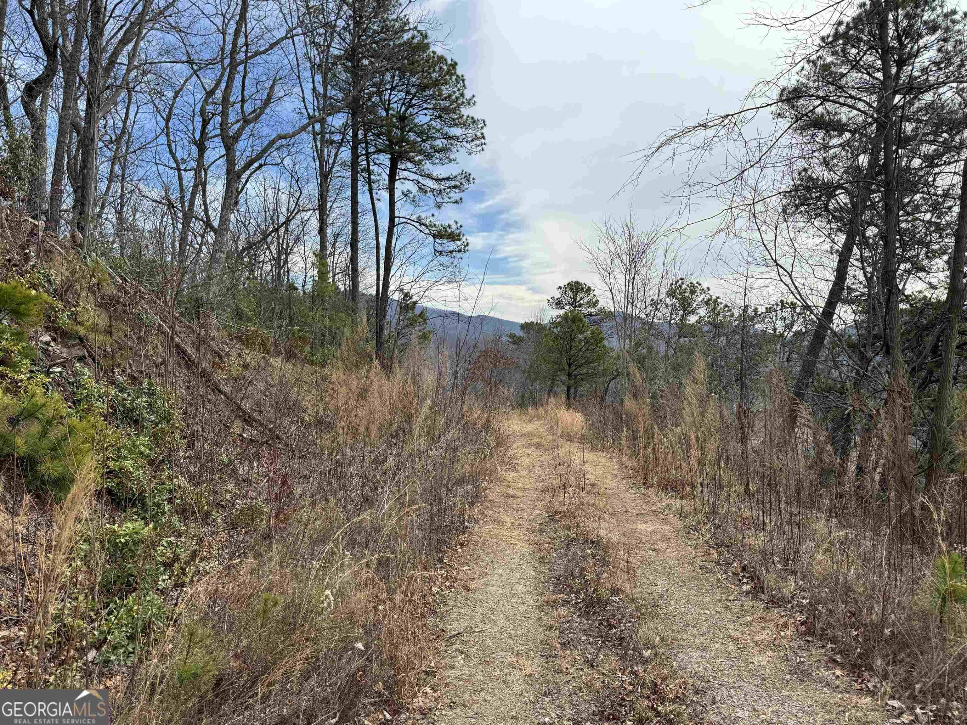 Hiawassee, GA 30546,LOT 22 Hightower Ridge Drive #LOT 22