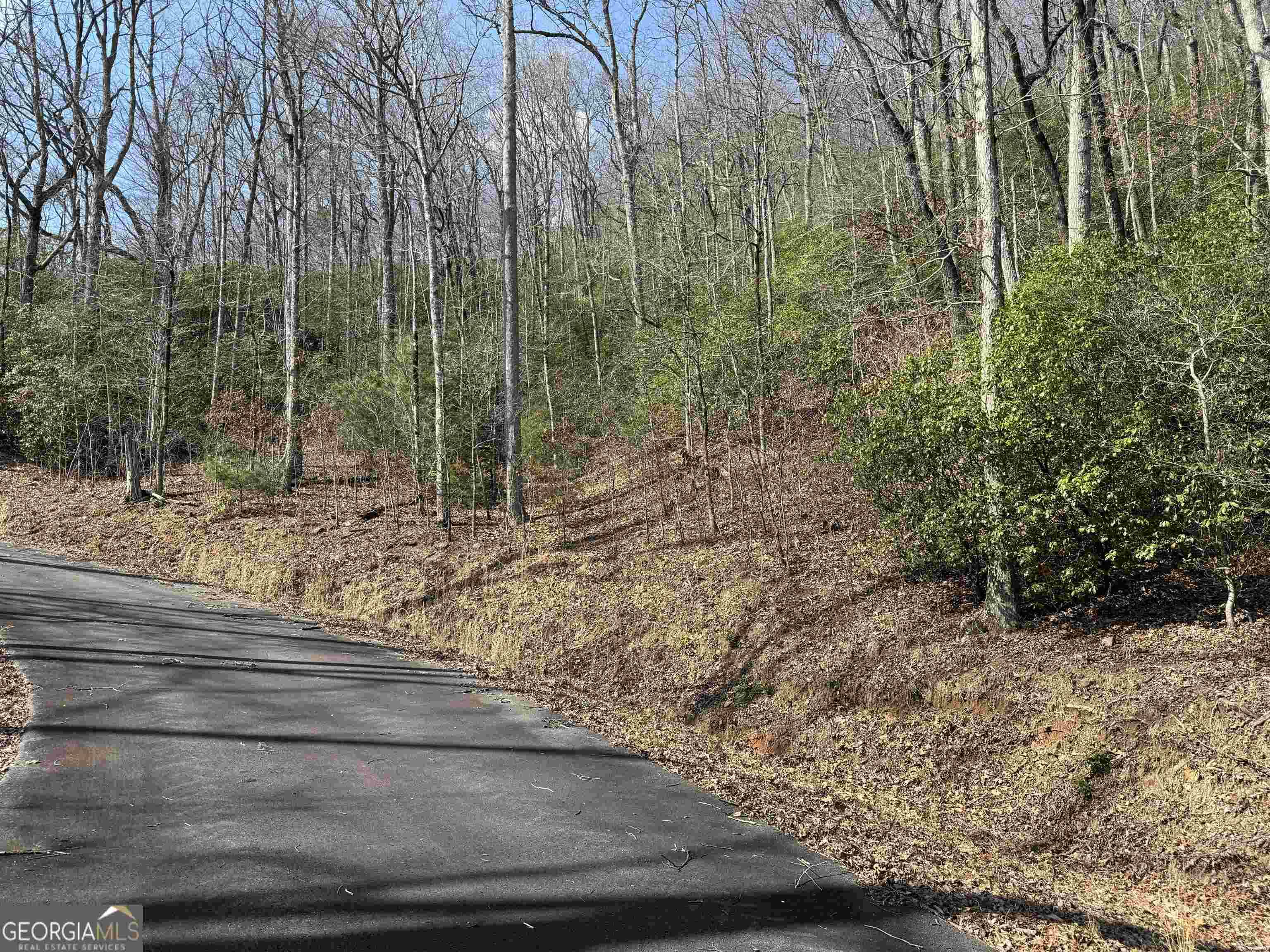 Hiawassee, GA 30546,LOT 24 Hightower Ridge Drive