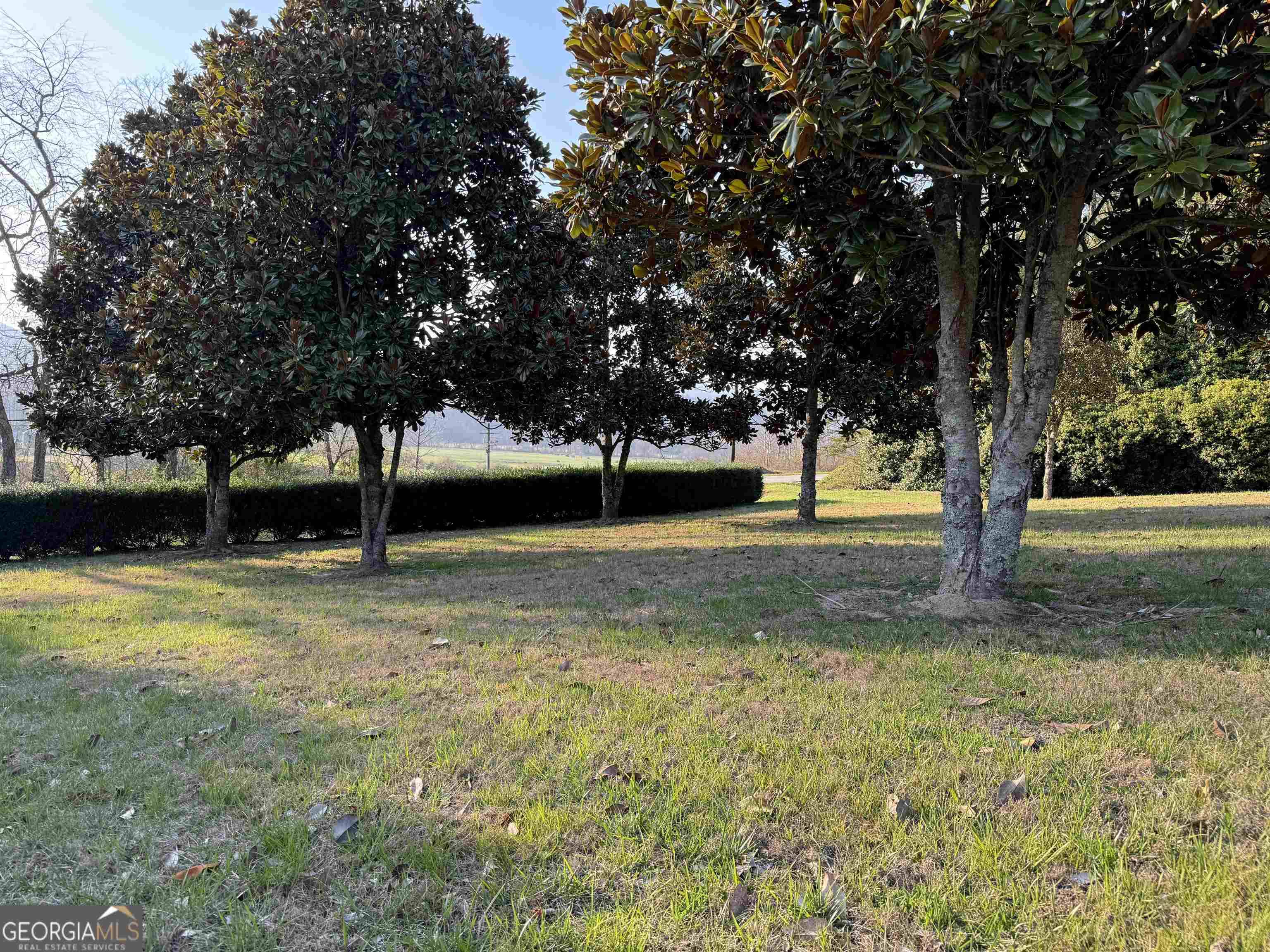 Rabun Gap, GA 30568,LOT 8 Shake Hollow Drive #LOT 8