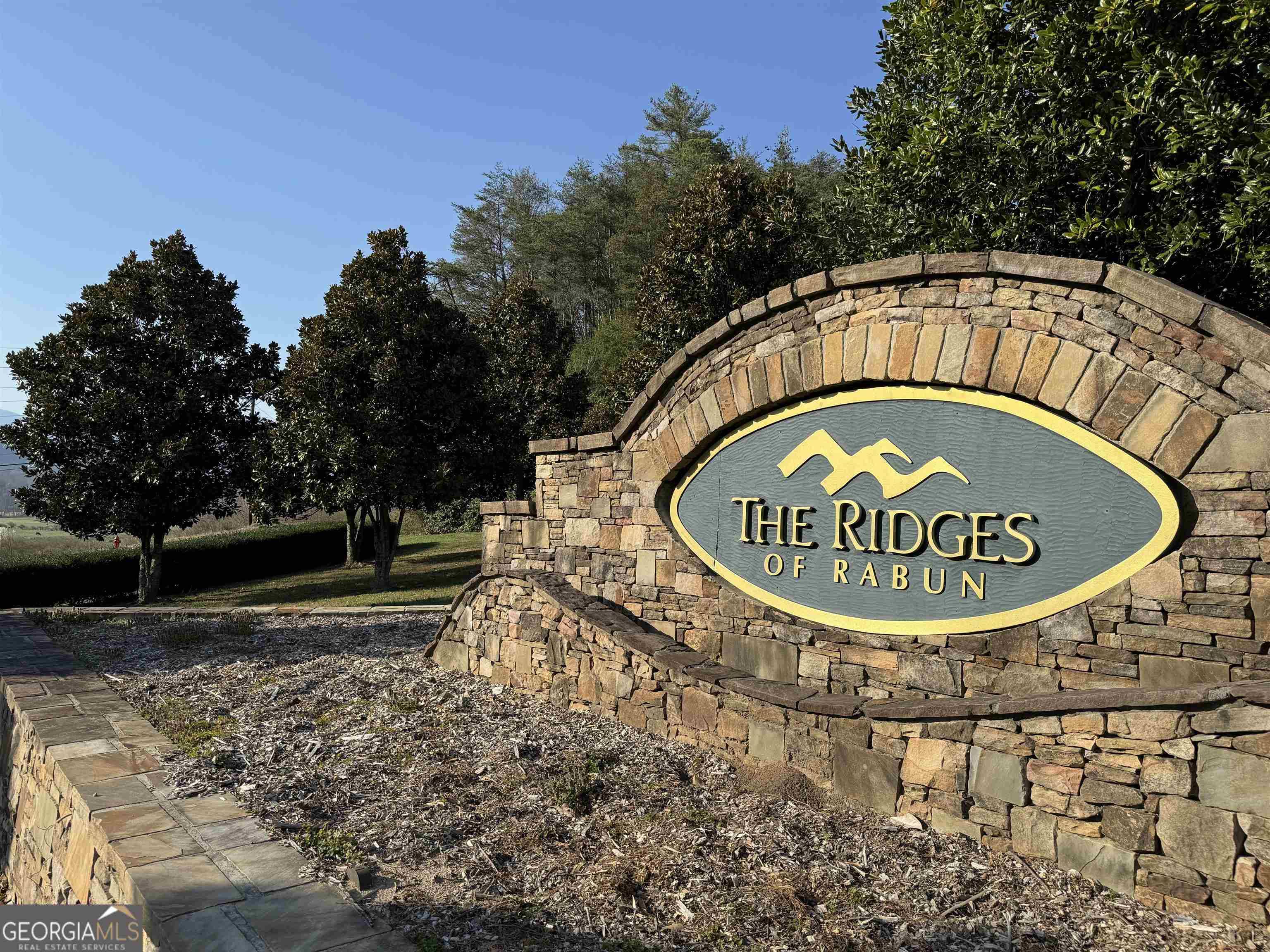 Rabun Gap, GA 30568,LOT 10 Shake Hollow Drive #LOT 10