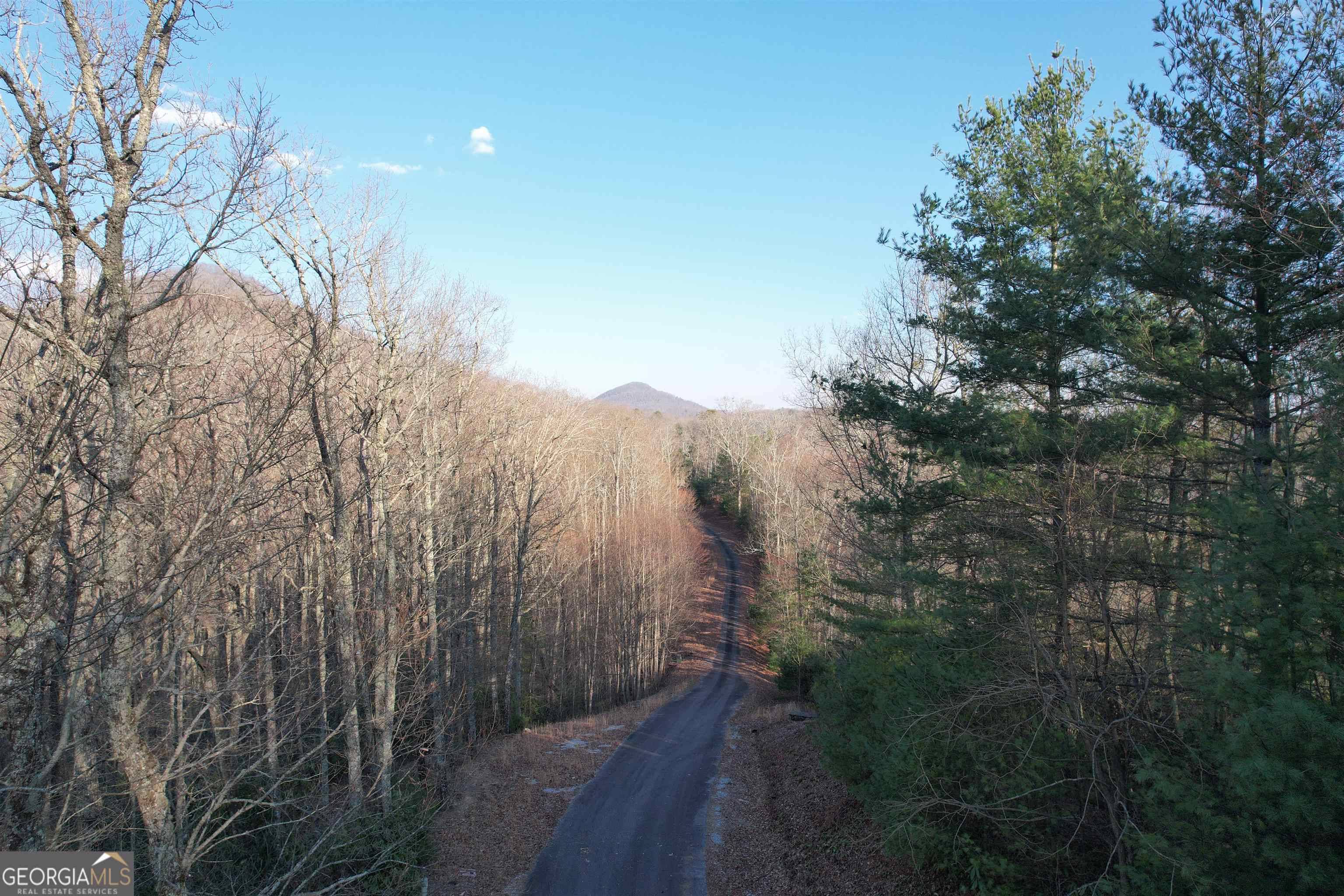 Rabun Gap, GA 30568,LOT 15 Mountain Ridge Drive #LOT 15