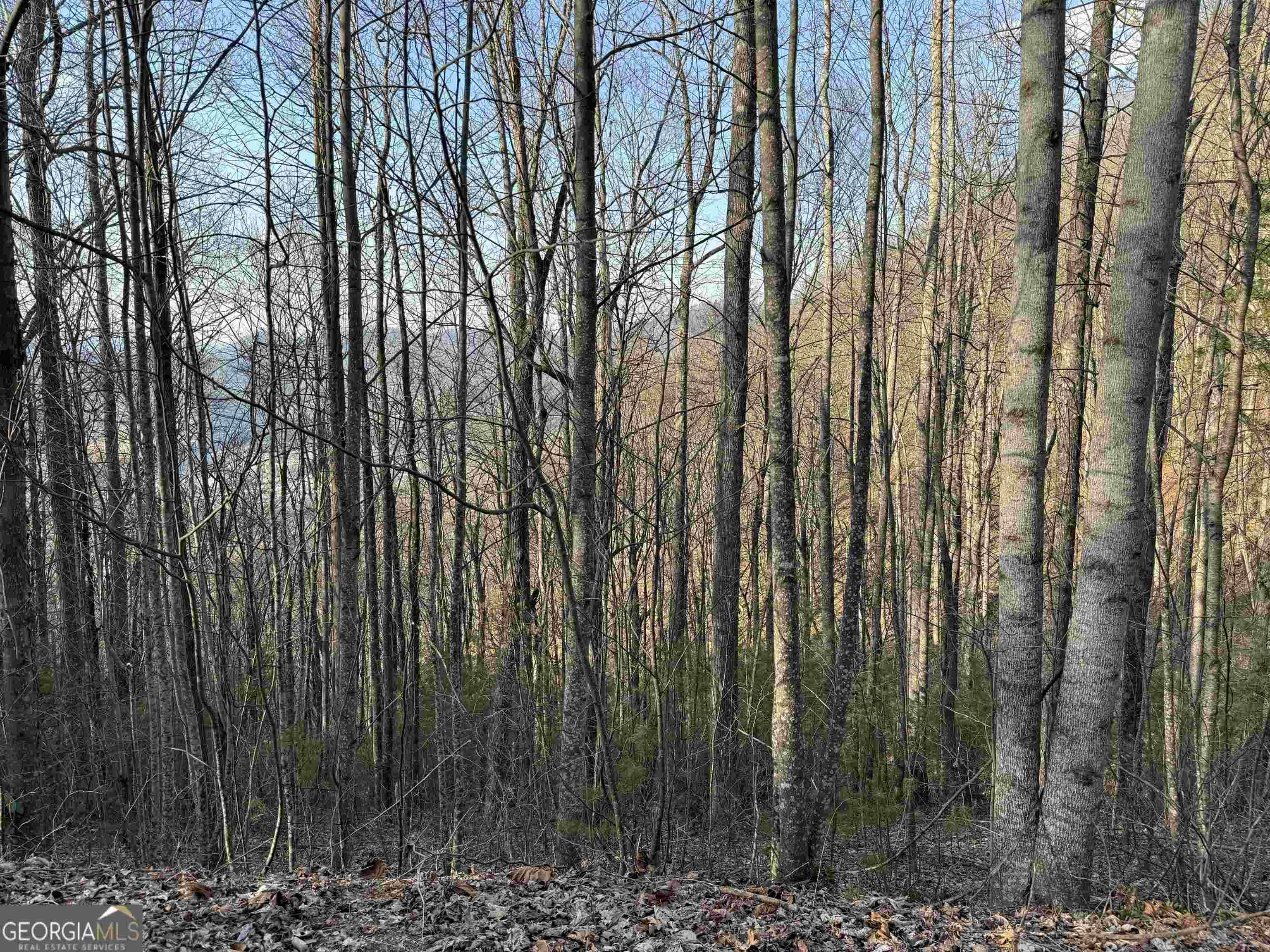 Rabun Gap, GA 30568,LOT 16 Smokey Hollow Drive #LOT 16