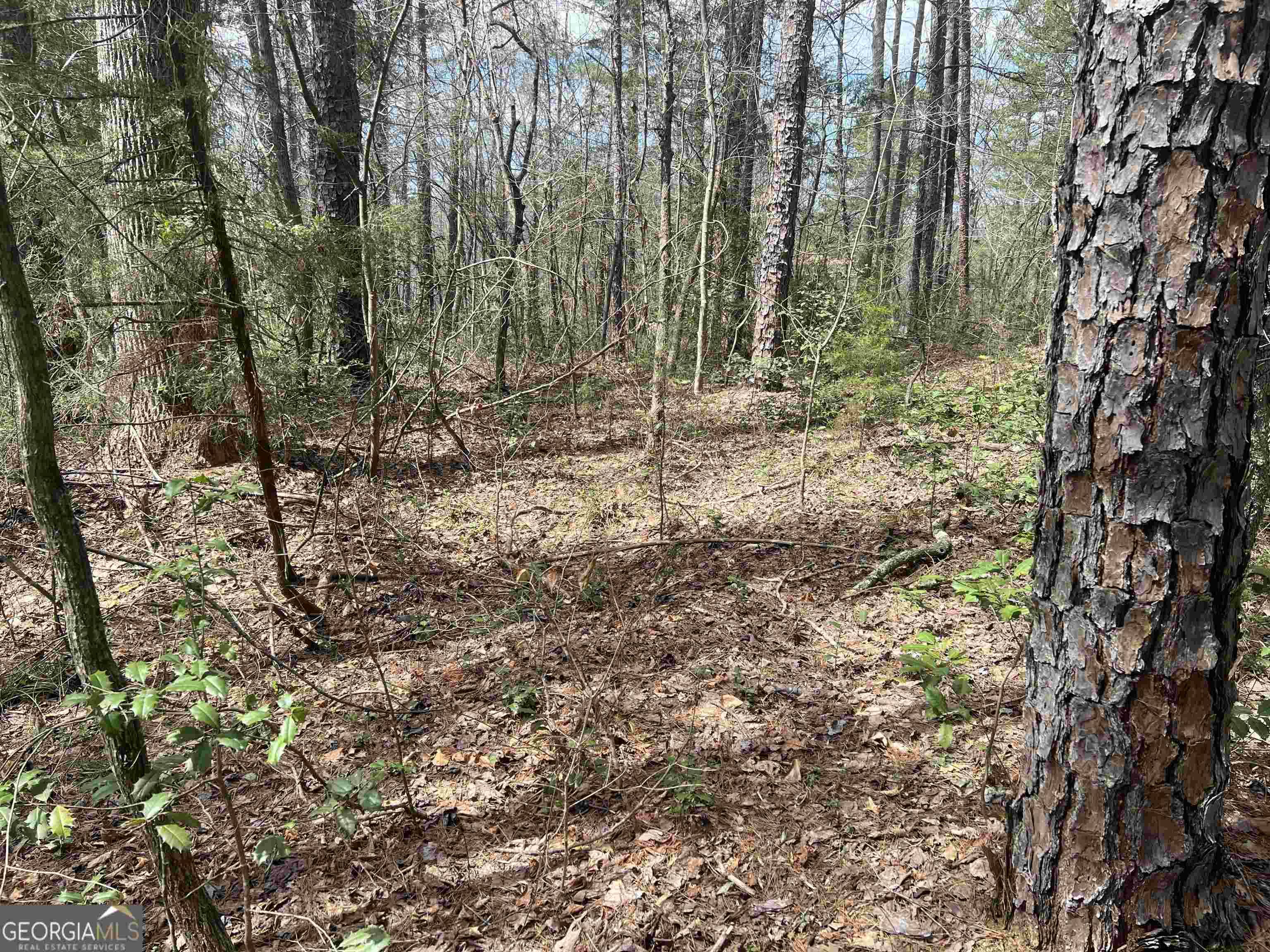 Martin, GA 30557,69 Cheyenne TRL