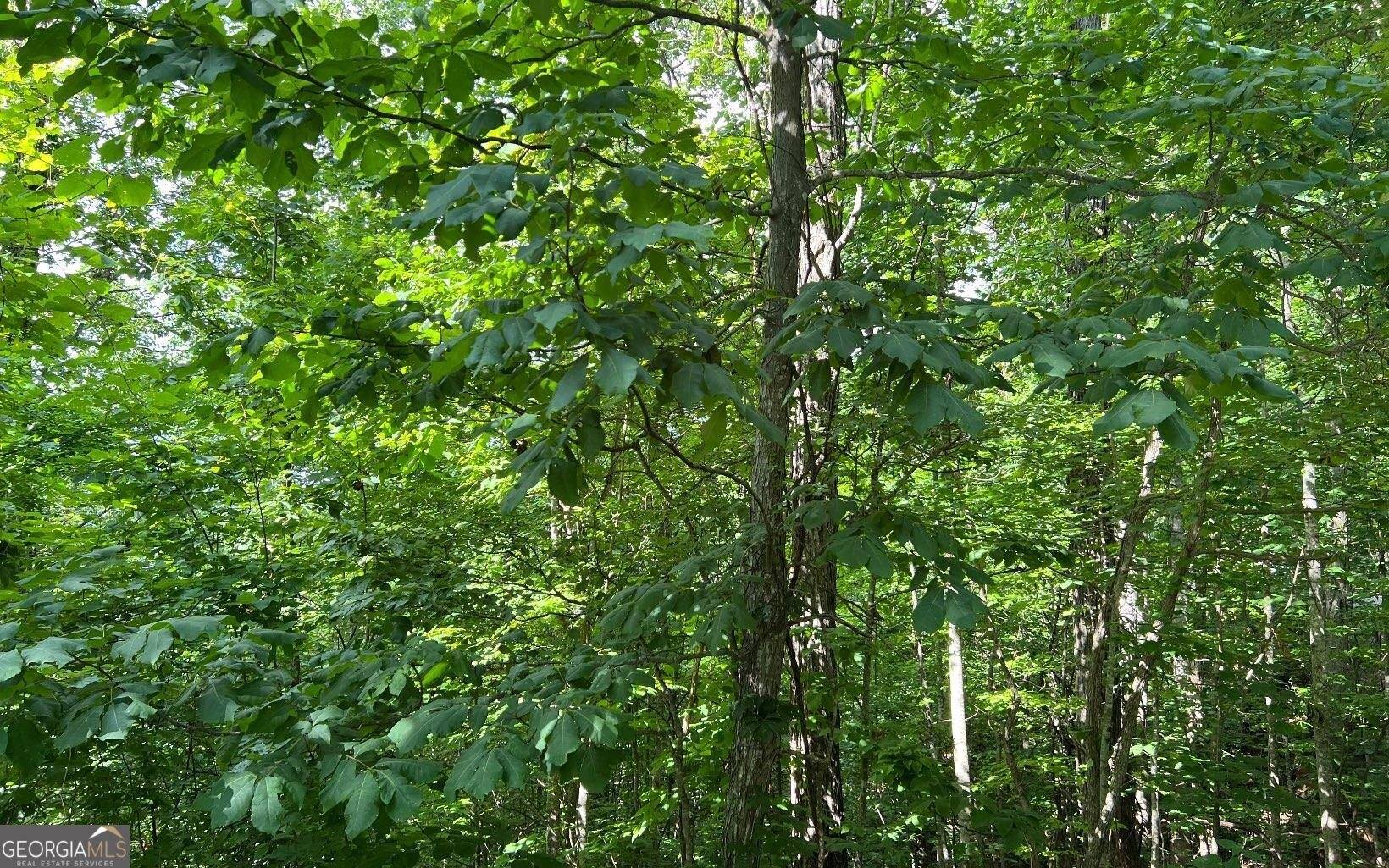 Hayesville, NC 28904,LOT 73 Eagles View