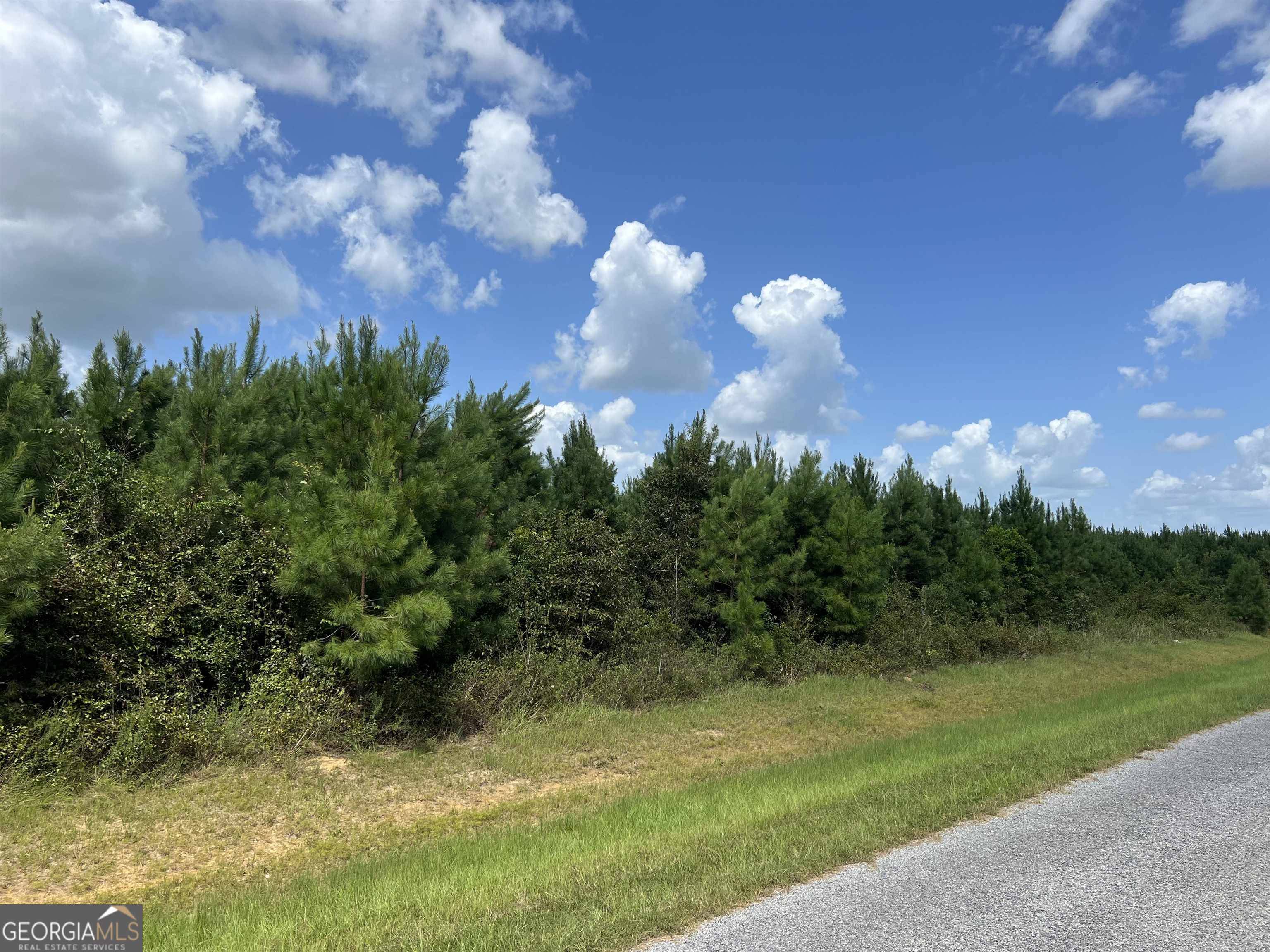 Elko, GA 31025,LOT 1 Whitfield