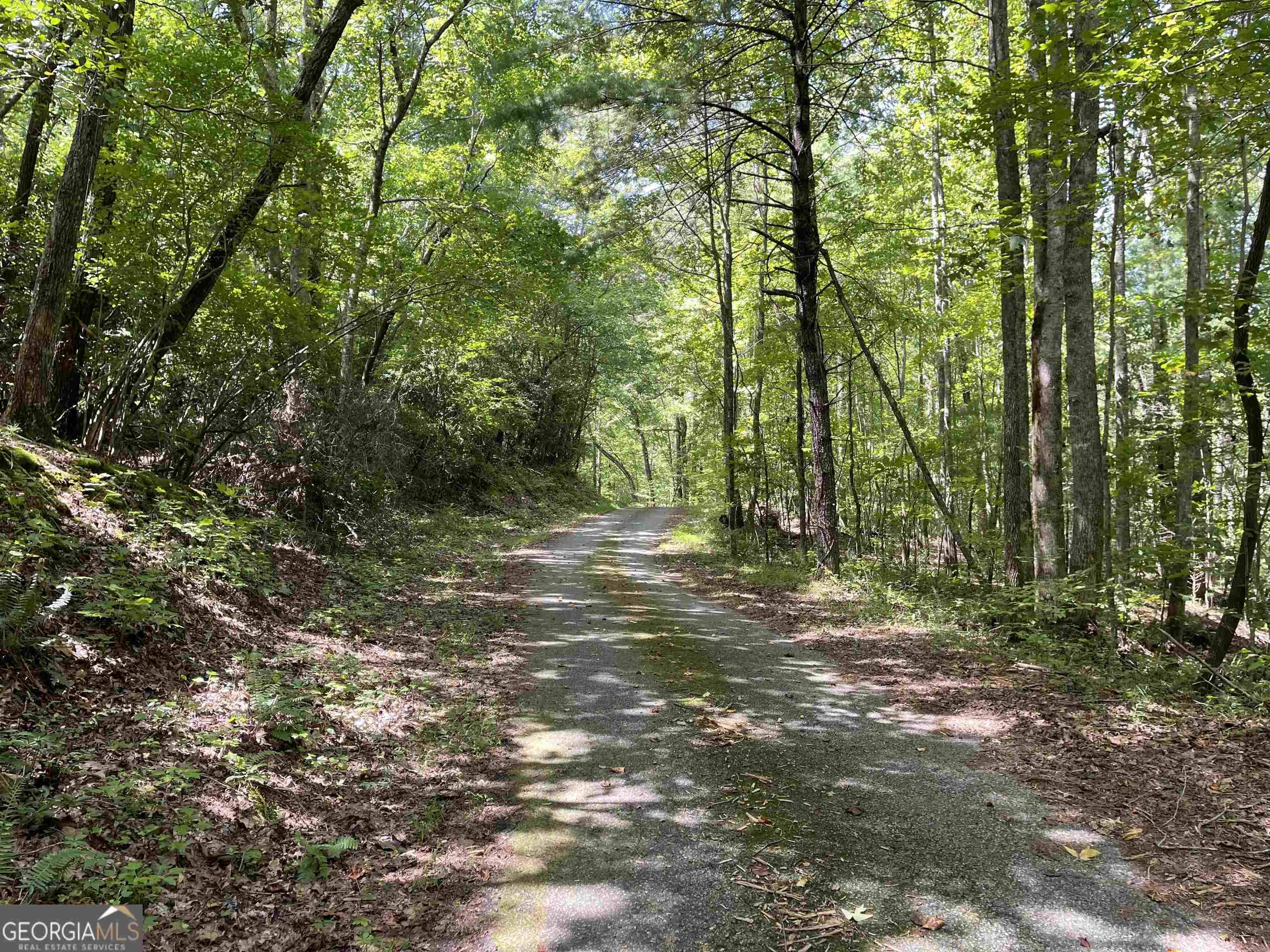 Dahlonega, GA 30533,0 T S Jarrard Road