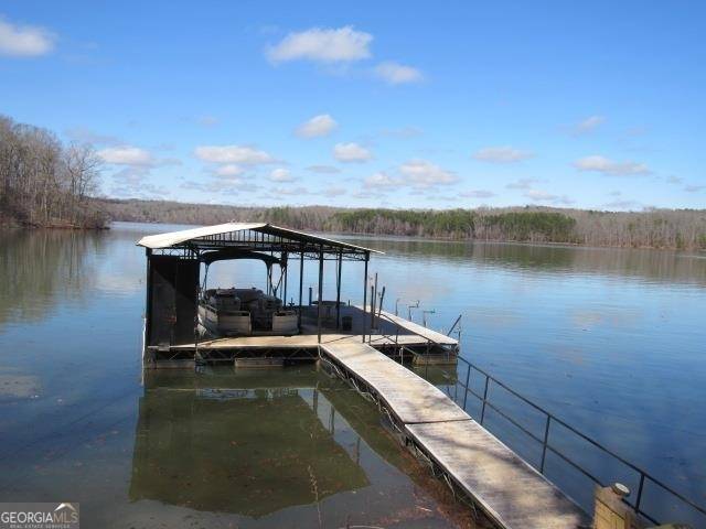 Martin, GA 30557,245 Shore Side Drive