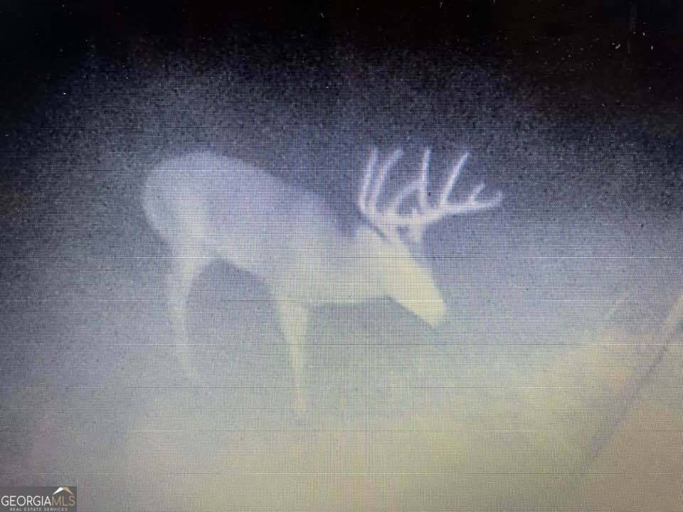 Hawkinsville, GA 31036,2221 Abbeville Highway