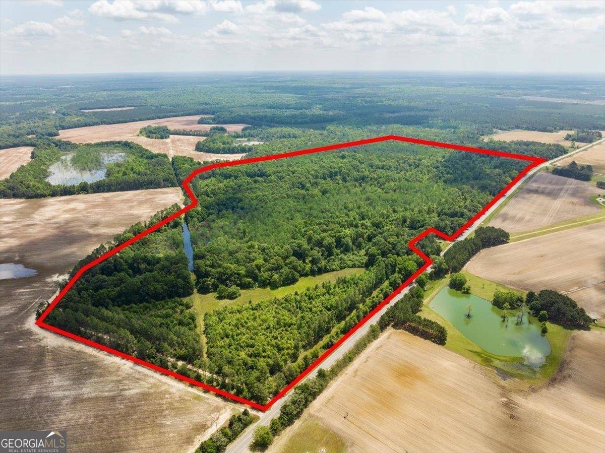 Hawkinsville, GA 31036,2221 Abbeville Highway