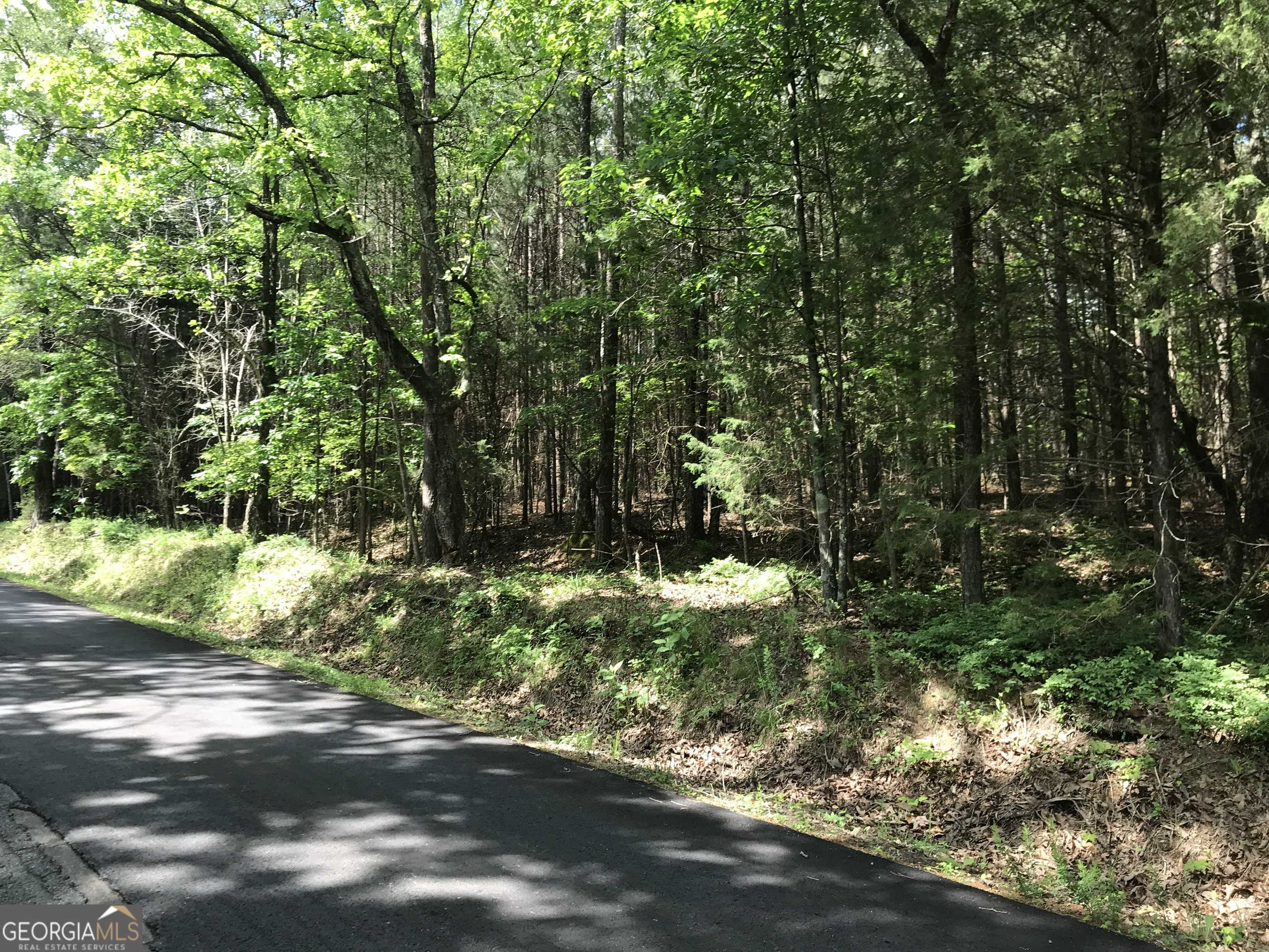 Fairmount, GA 30139,0 Arnold RD #9607-Z