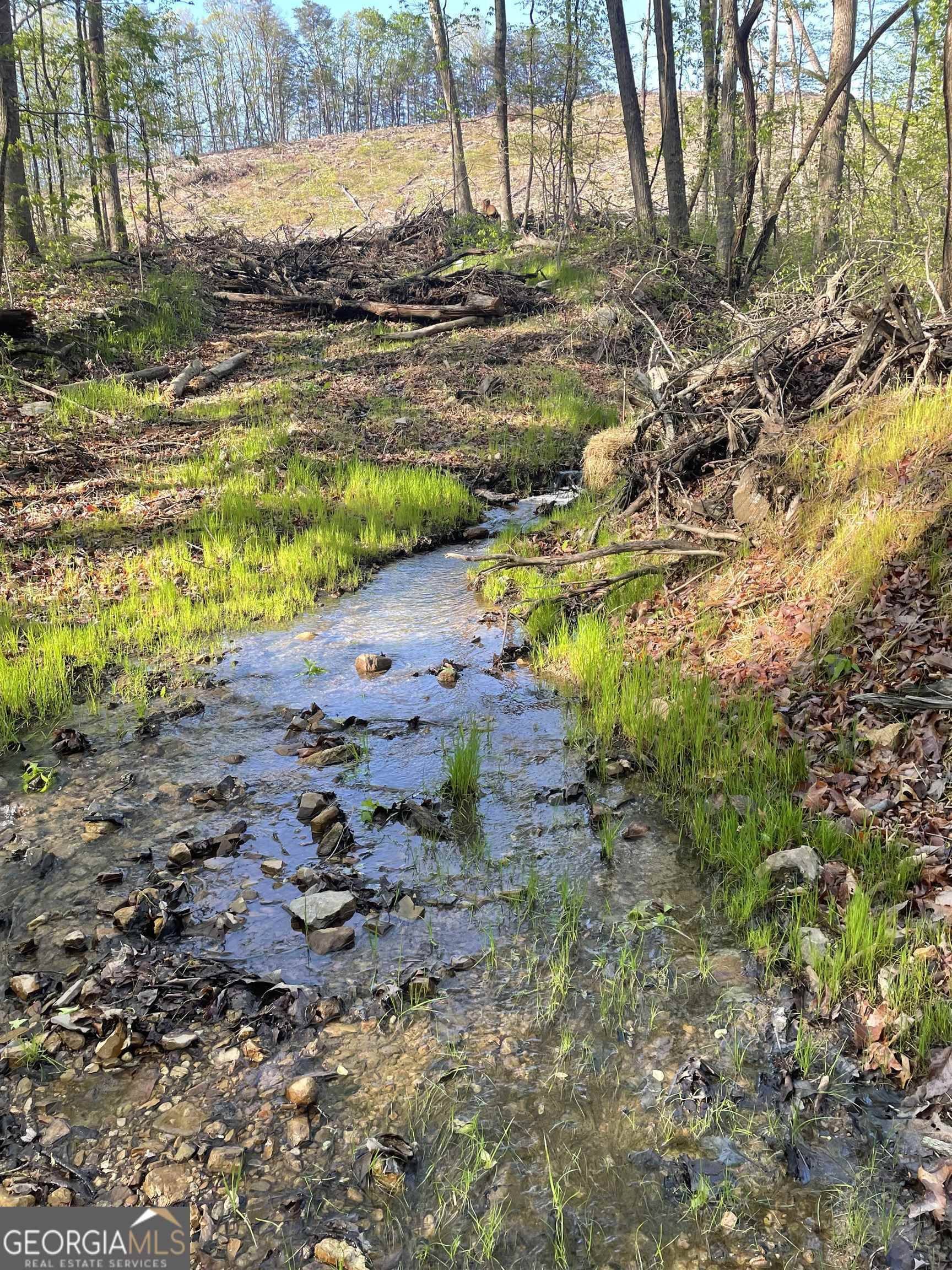 Dalton, GA 30720,N/A North Dug Gap Road