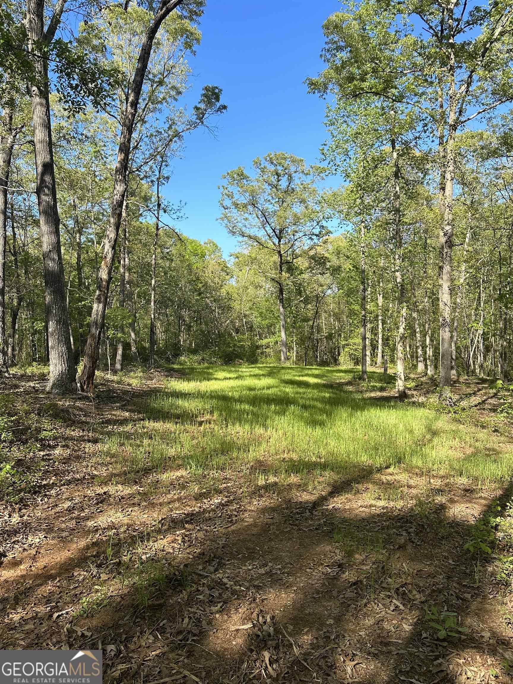 Hull, GA 30646,0 Neese Commerce