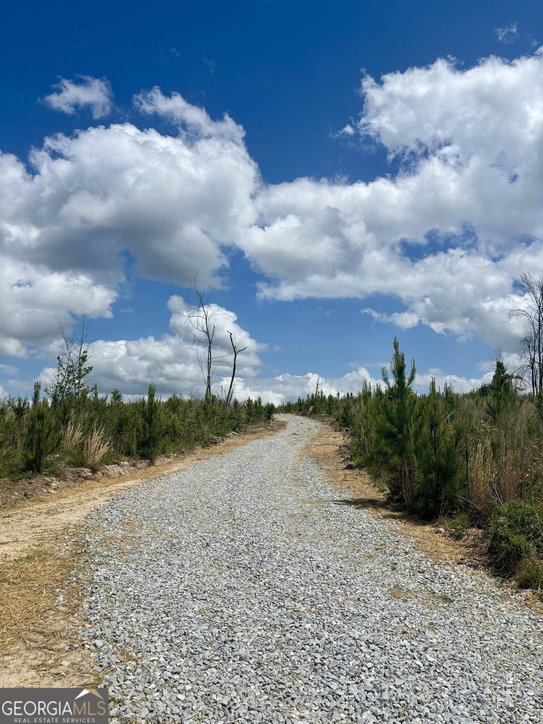 Carlton, GA 30627,0 Victoria RD