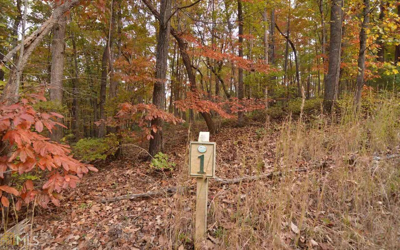 Blairsville, GA 30512,LOT 1 Serenity RDG