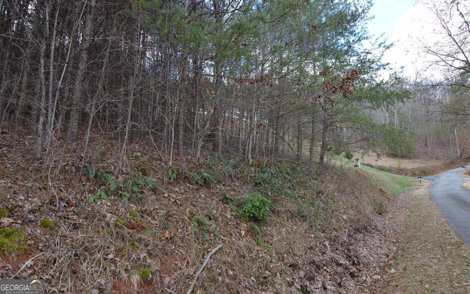 Hiawassee, GA 30546,LOT 4 Brer Fox Ridge