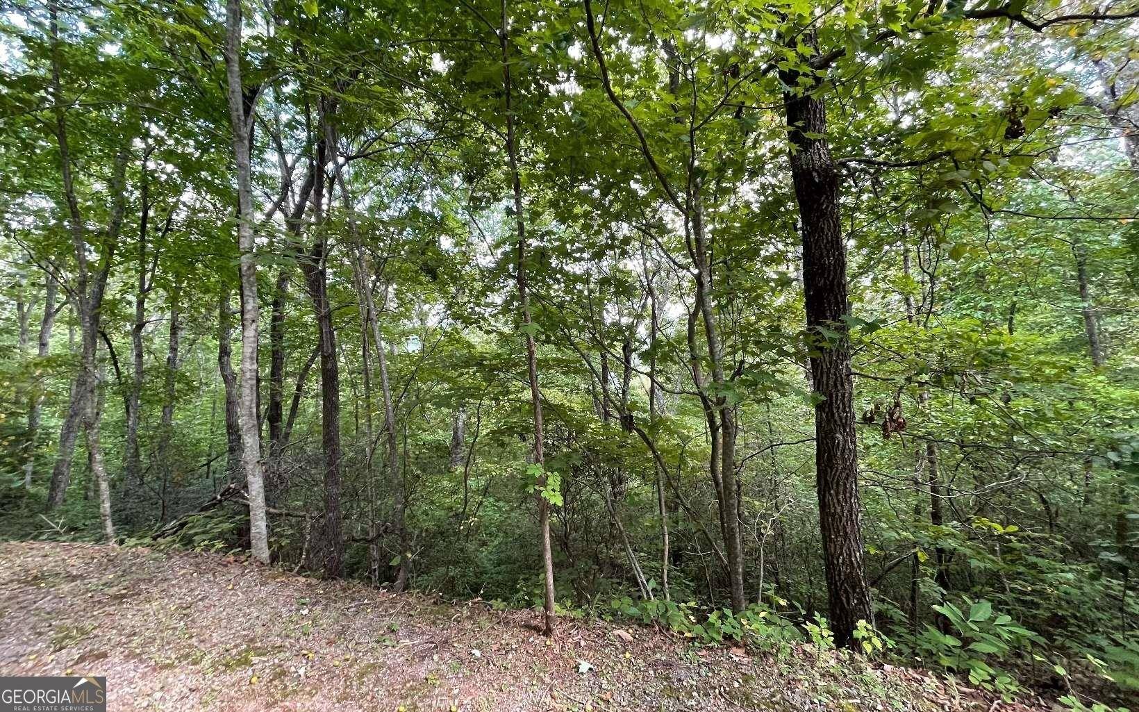 Hayesville, NC 28904,LOT 20 Enchanted Ridge RDG