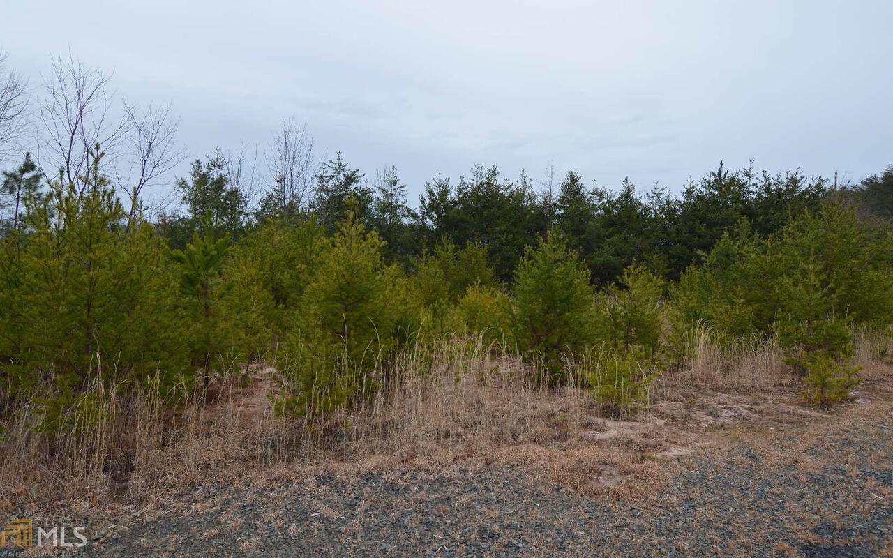 Hayesville, NC 28904,LOT 2 Preserve At Beach