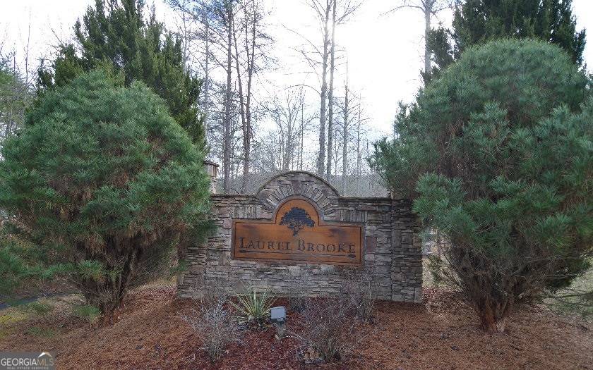 Blairsville, GA 30512,LOT 48 Laurel Brooke