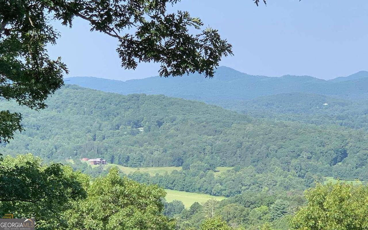 Hayesville, NC 28904,LOT 7 White Oak