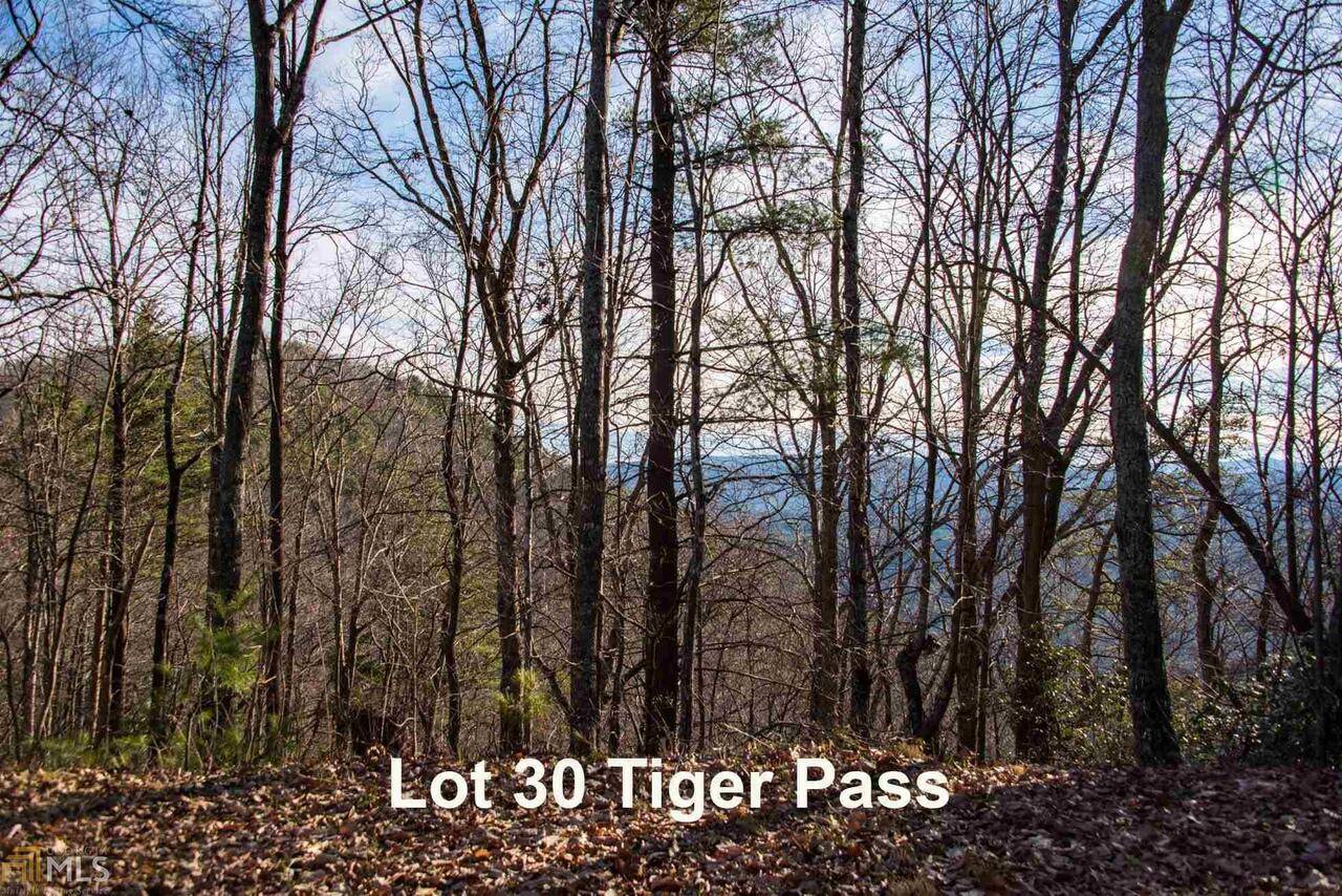 Tiger, GA 30576,0 Tiger