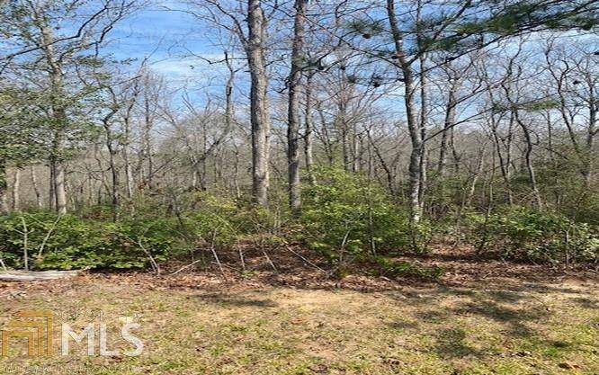 Warne, NC 28909,LOT 6 Brasstown Trails