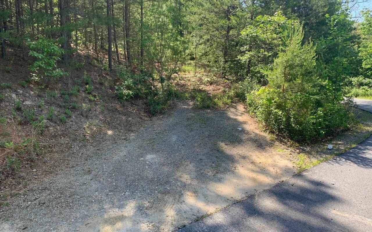 Hayesville, NC 28904,LOT 4A Trillium HTS