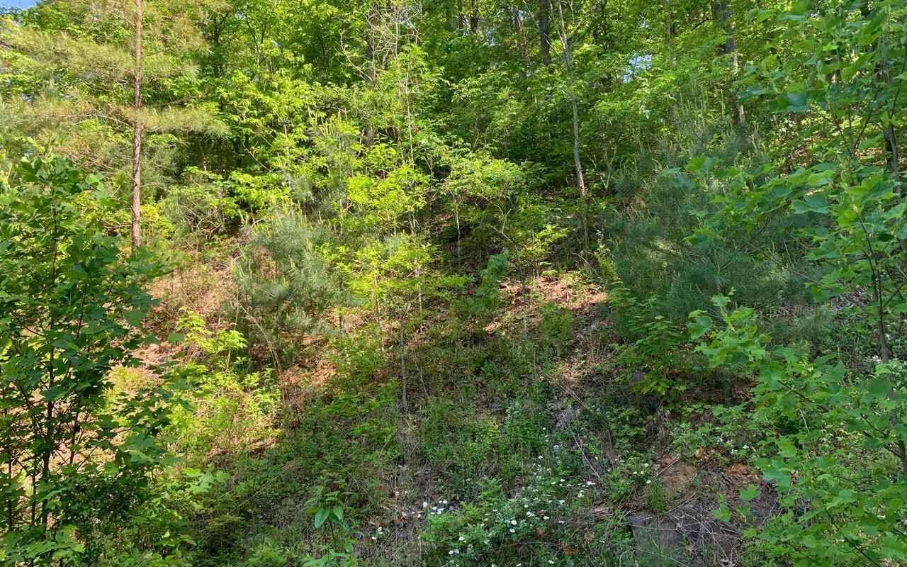 Hayesville, NC 28904,LOT 4A Trillium