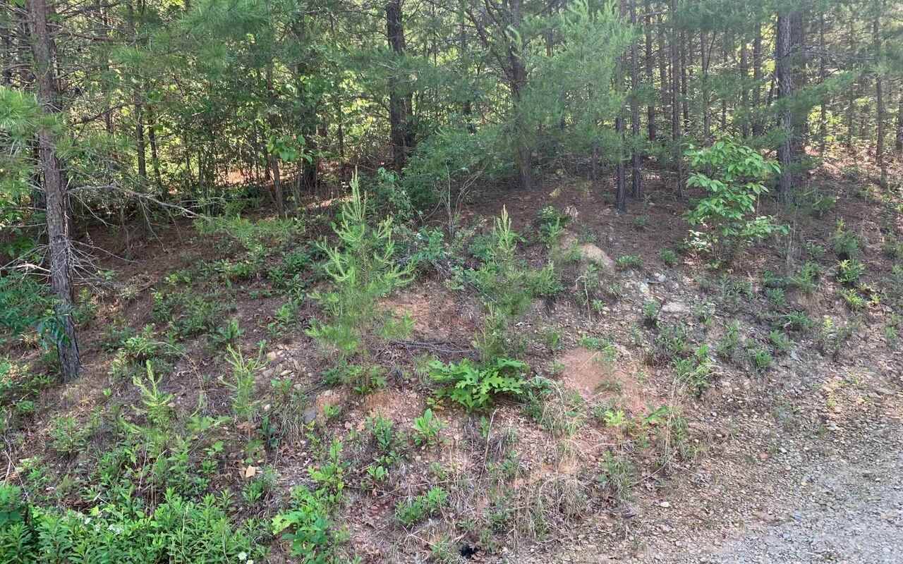 Hayesville, NC 28904,LOT 4A Trillium HTS