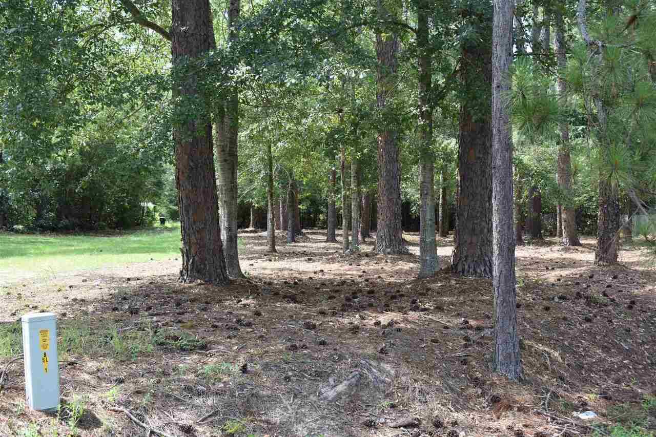 Metter, GA 30439,0 Brannen Rd (.76 Ac)