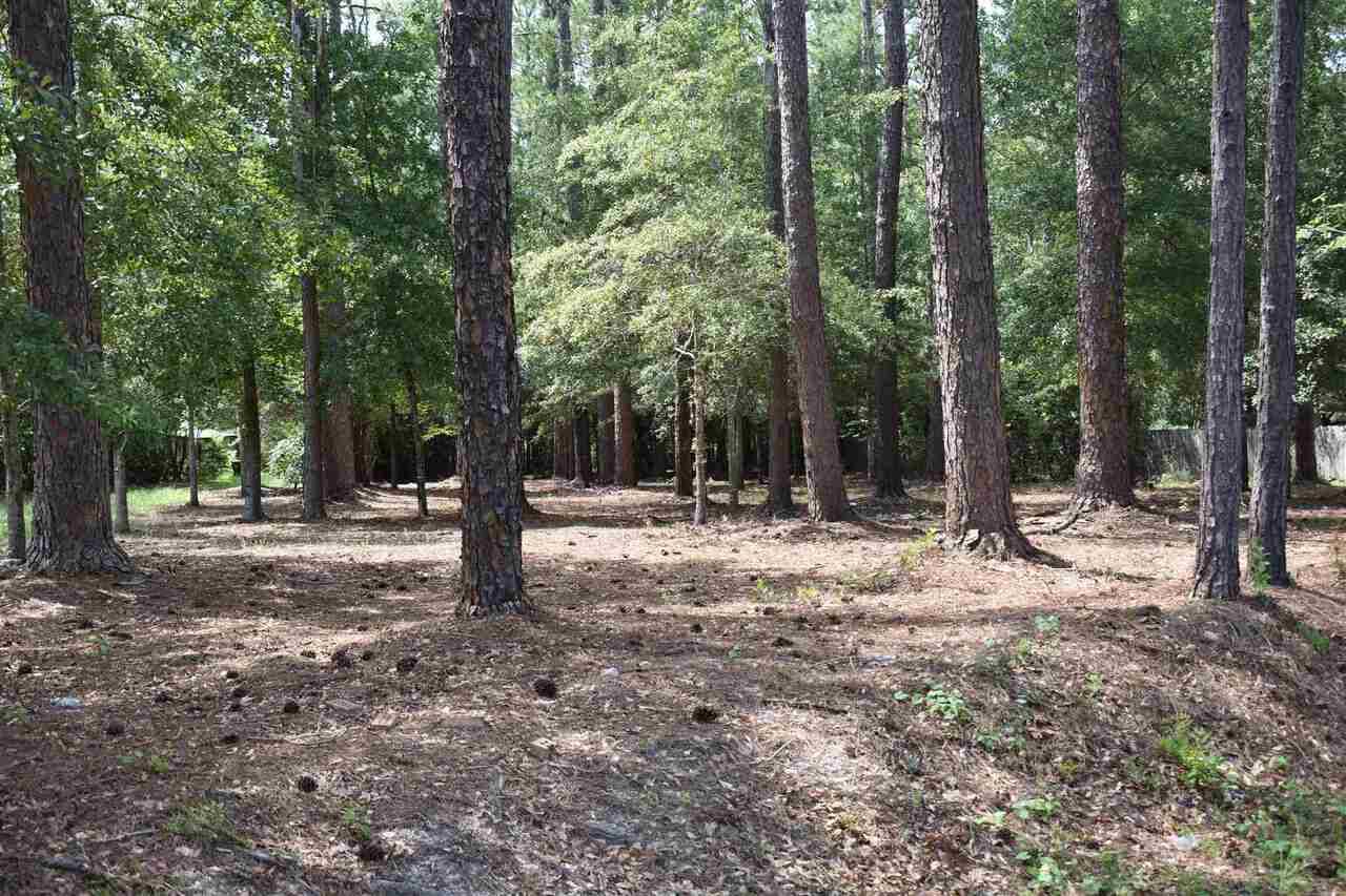 Metter, GA 30439,0 Brannen Rd (.76 Ac)