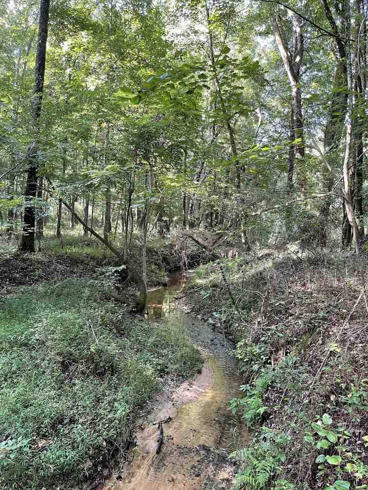 Monroe, GA 30655,0 Highway 11