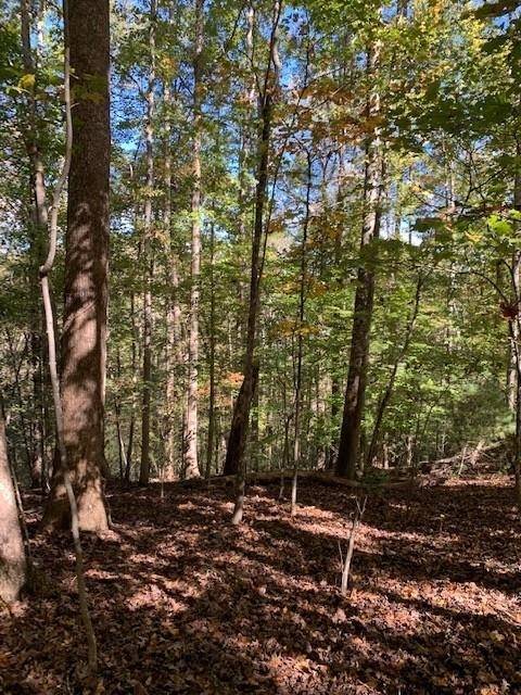 Dahlonega, GA 30533,0 Pine