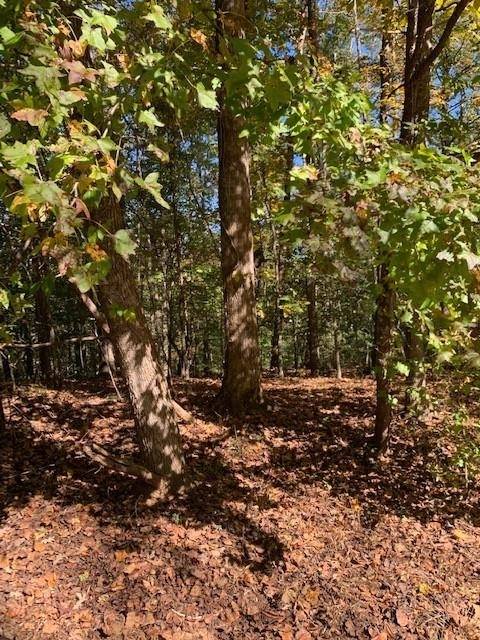 Dahlonega, GA 30533,0 Pine TRL #LOT 4