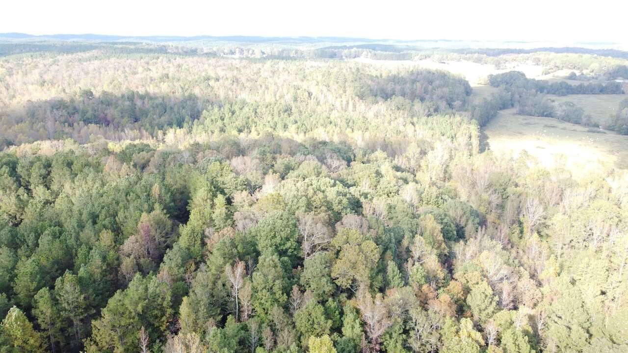 Heflin, AL 36264,0-TR 5 County Rd 408
