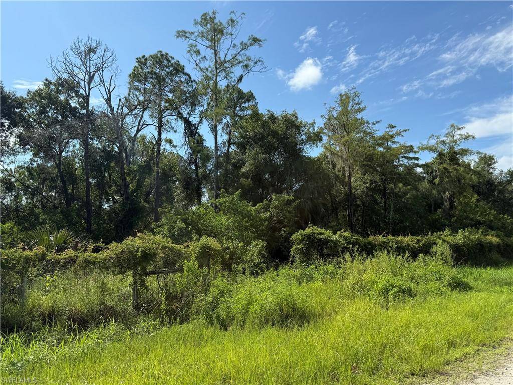 Clewiston, FL 33440,865 N Jinete ST