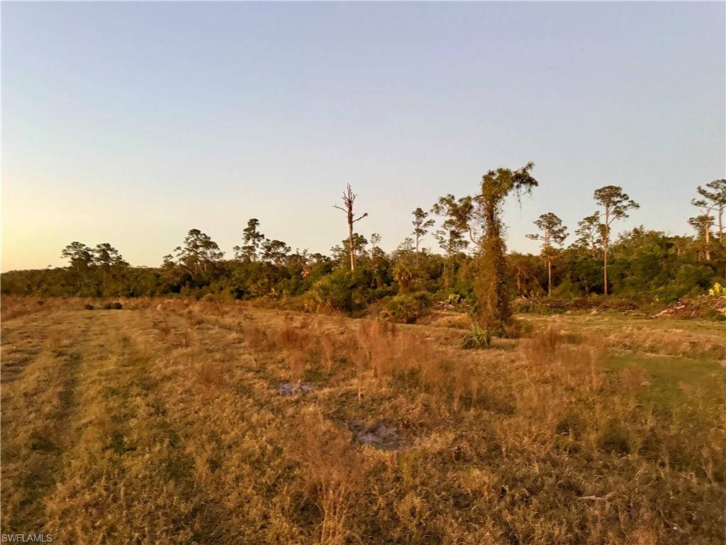 Labelle, FL 33935,Secretariat DR