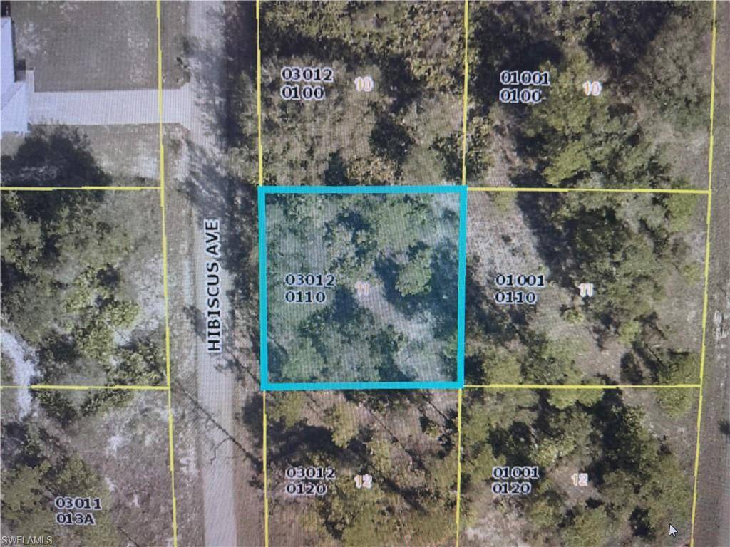 Lehigh Acres, FL 33972,1602 Hibiscus AVE
