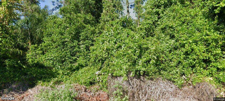 Lake Placid, FL 33852,1557 Spring LN