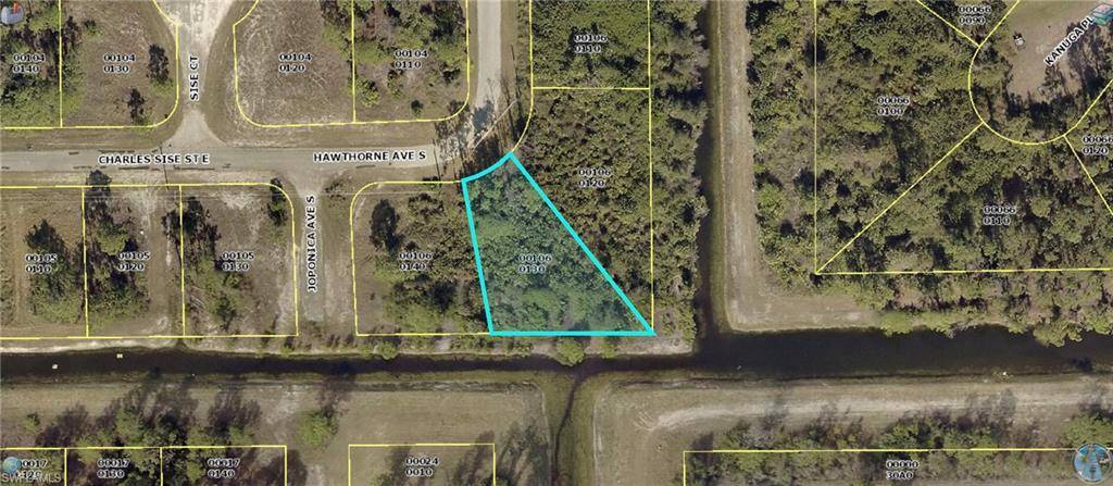 Lehigh Acres, FL 33974,862 Charles Sise ST E