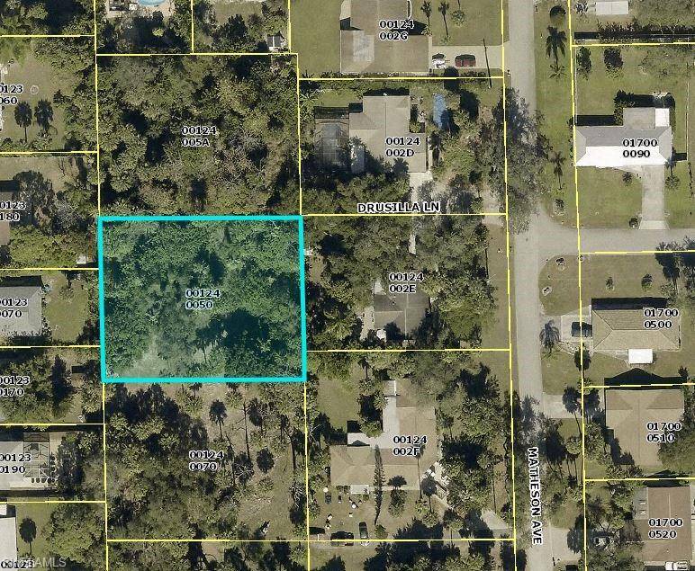 Bonita Springs, FL 34135,10885 Drusilla LN