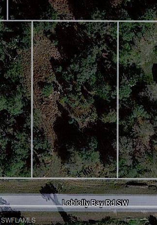 Labelle, FL 33935,24920 Loblolly Bay RD