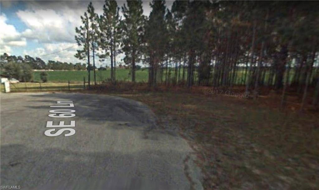 Morriston, FL 32668,SE 60th LN